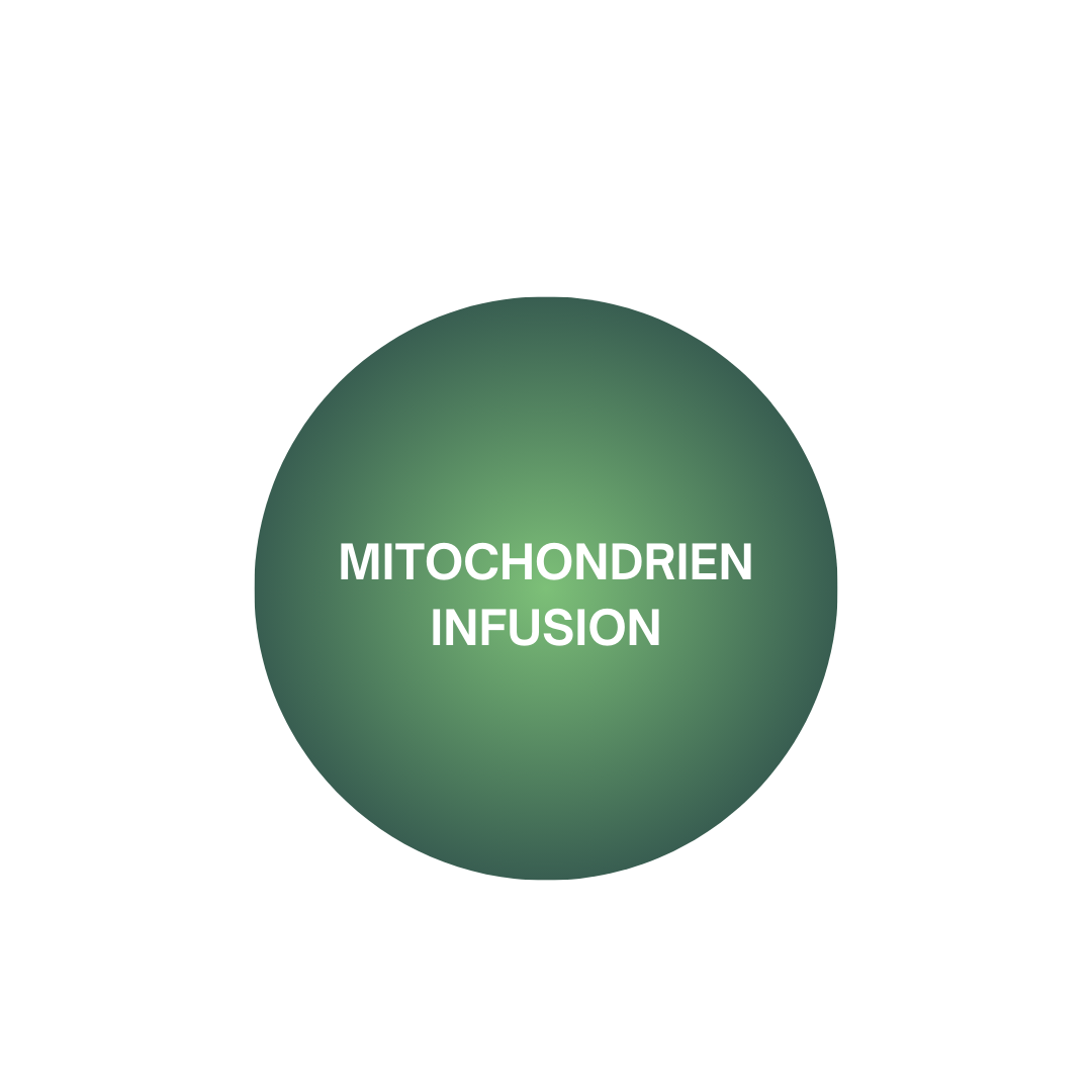 Mitochondrien-Infusion
