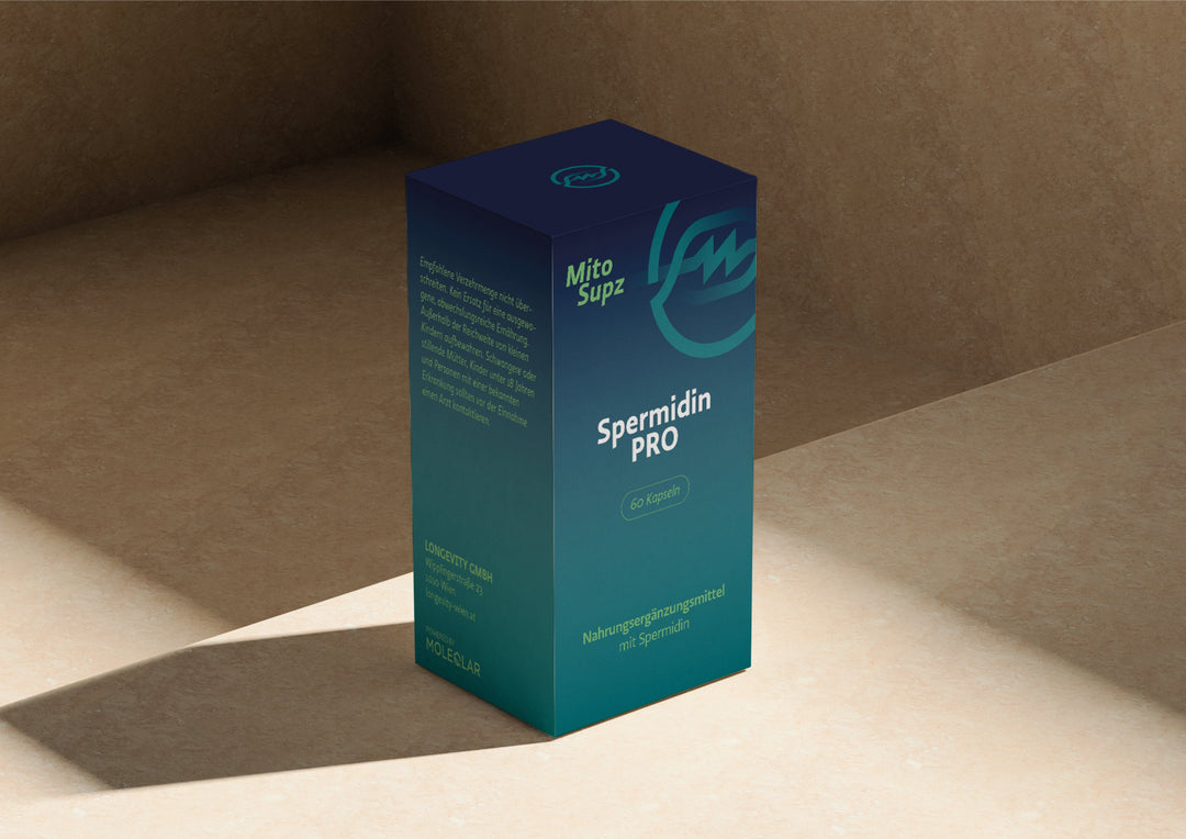 Spermidin PRO: Zellerneuerung durch Autophagie-Aktivierung