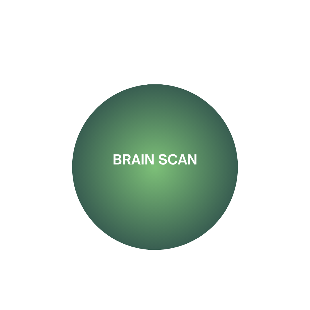qEEG Brainmapping mit ERP-Messung Wien Longevity Center Vienna